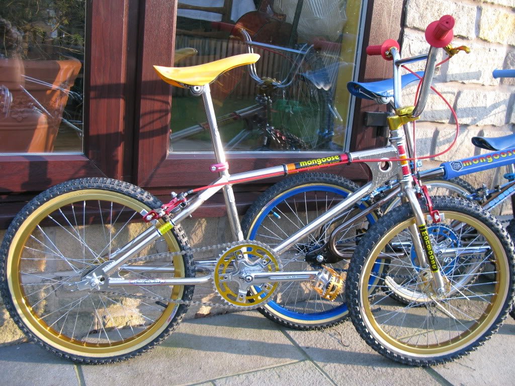 1979 team mongoose